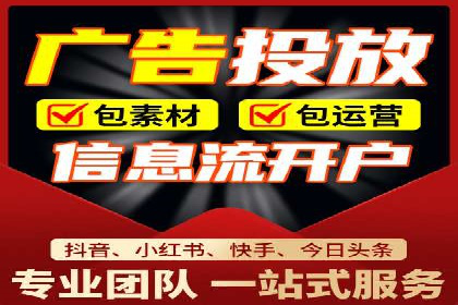 抖音信息流广告的投放策略与成功案例分析