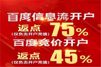 SEM运营公司案例研究：优化广告投放策略